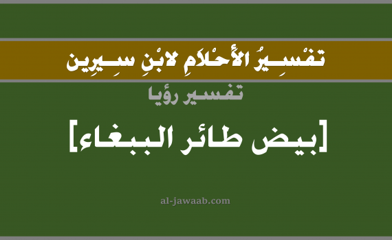 تفسير الاحلام لابن سيرين - حلم بيض الببغاء في المنام, تفسير رؤية بيض ببغاء بالحلم (في الحلم لابن سيرين), تفسير حلم بيض الببغاء, تفسير منام أو رؤيا البيض و الببغاء, تفسير احلام ابن سيرين.